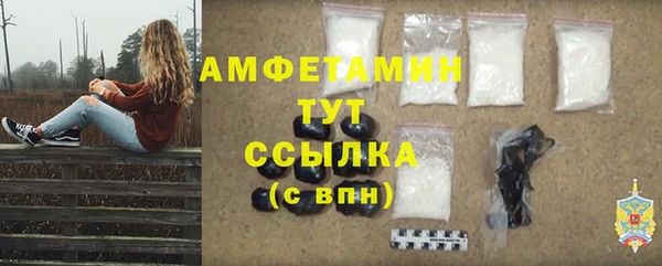 метадон Инсар