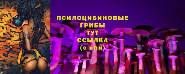 метадон Инсар