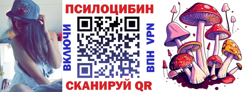 Купить  Голицыно  Галлюциногенные грибы GOLDEN TEACHER 